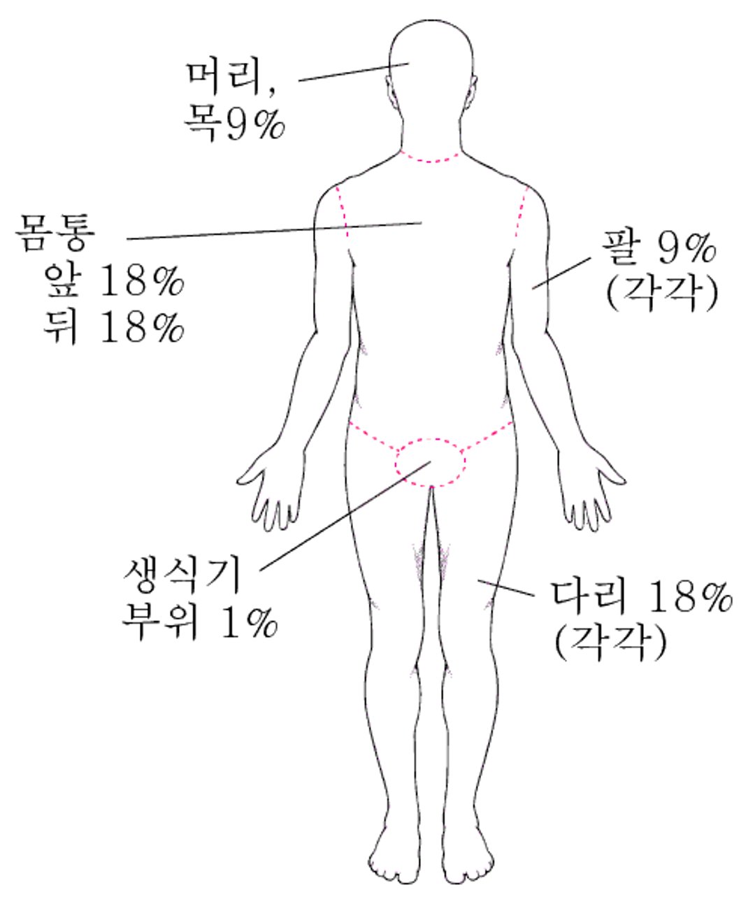 화상 범위 추정