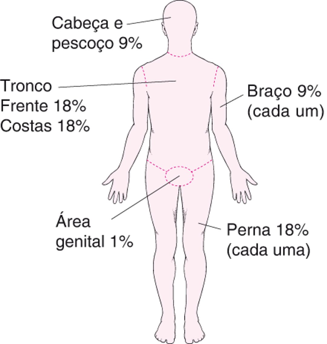 Avaliando a extensão de uma queimadura