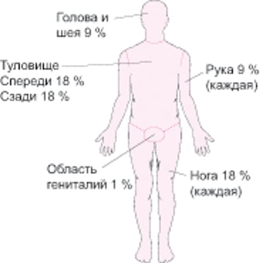 Ожоги по площади