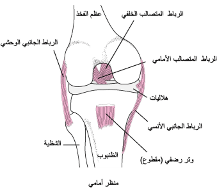 الحفاظ على ثبات الركبة