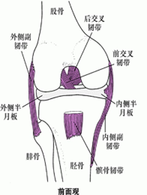 将膝关节支撑在一起