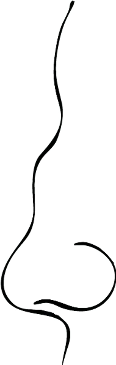 鞍鼻（あんび）変形