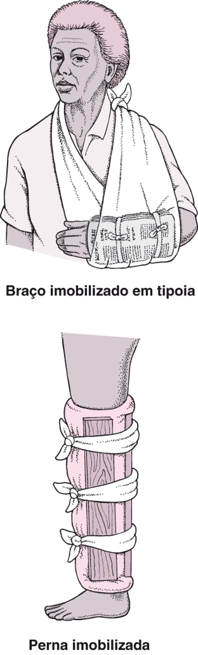 Talas usadas com frequência