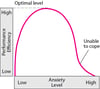 How Anxiety Affects Performance