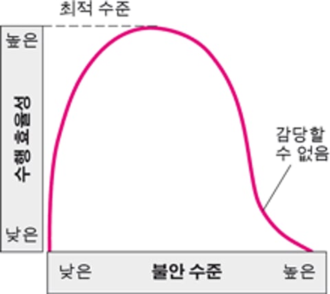 불안이 수행에 주는 영향