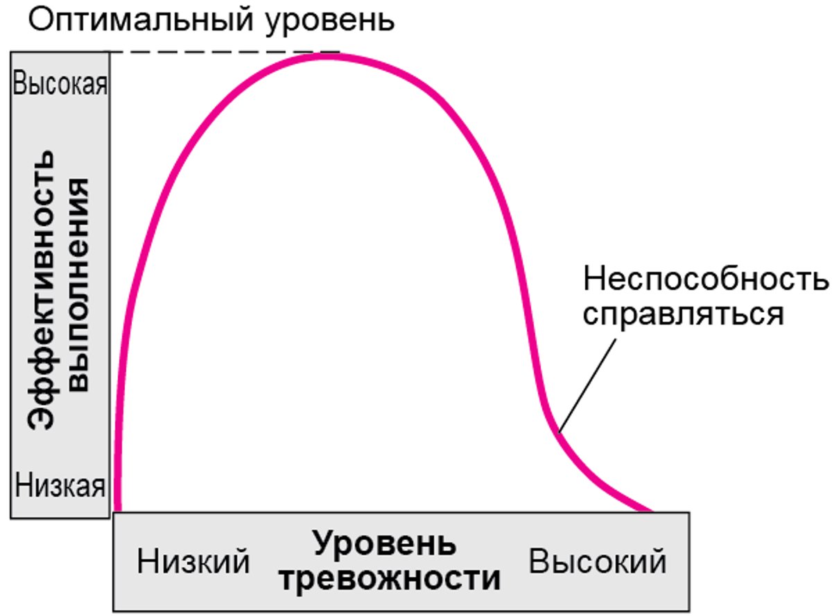 Как тревога влияет на функционирование