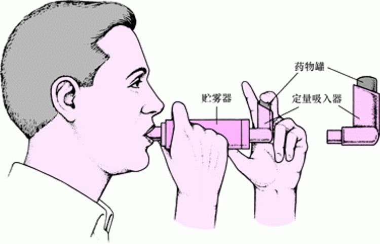 Image:如何使用带储雾罐的定量吸入器-《默沙东诊疗手册大众版》
