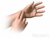 Polso radiale