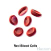 Red Blood Cells
