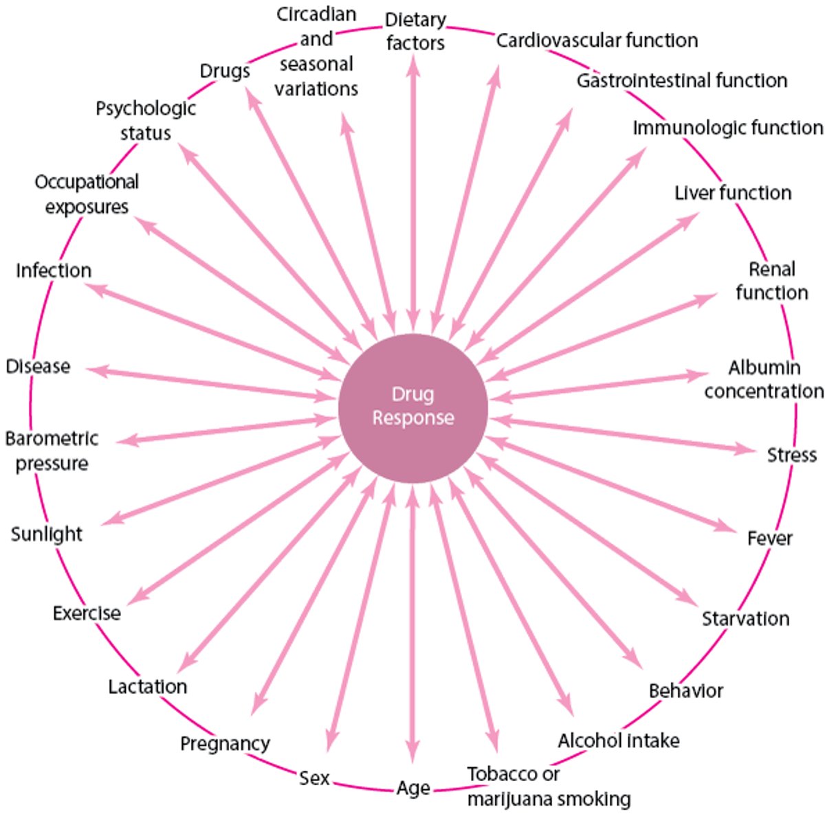 Many Factors Affect Medication Response