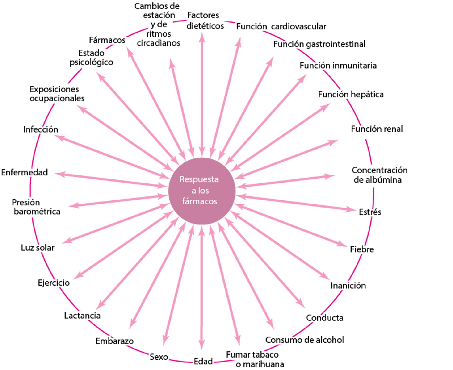 Muchos factores afectan la respuesta a los fármacos
