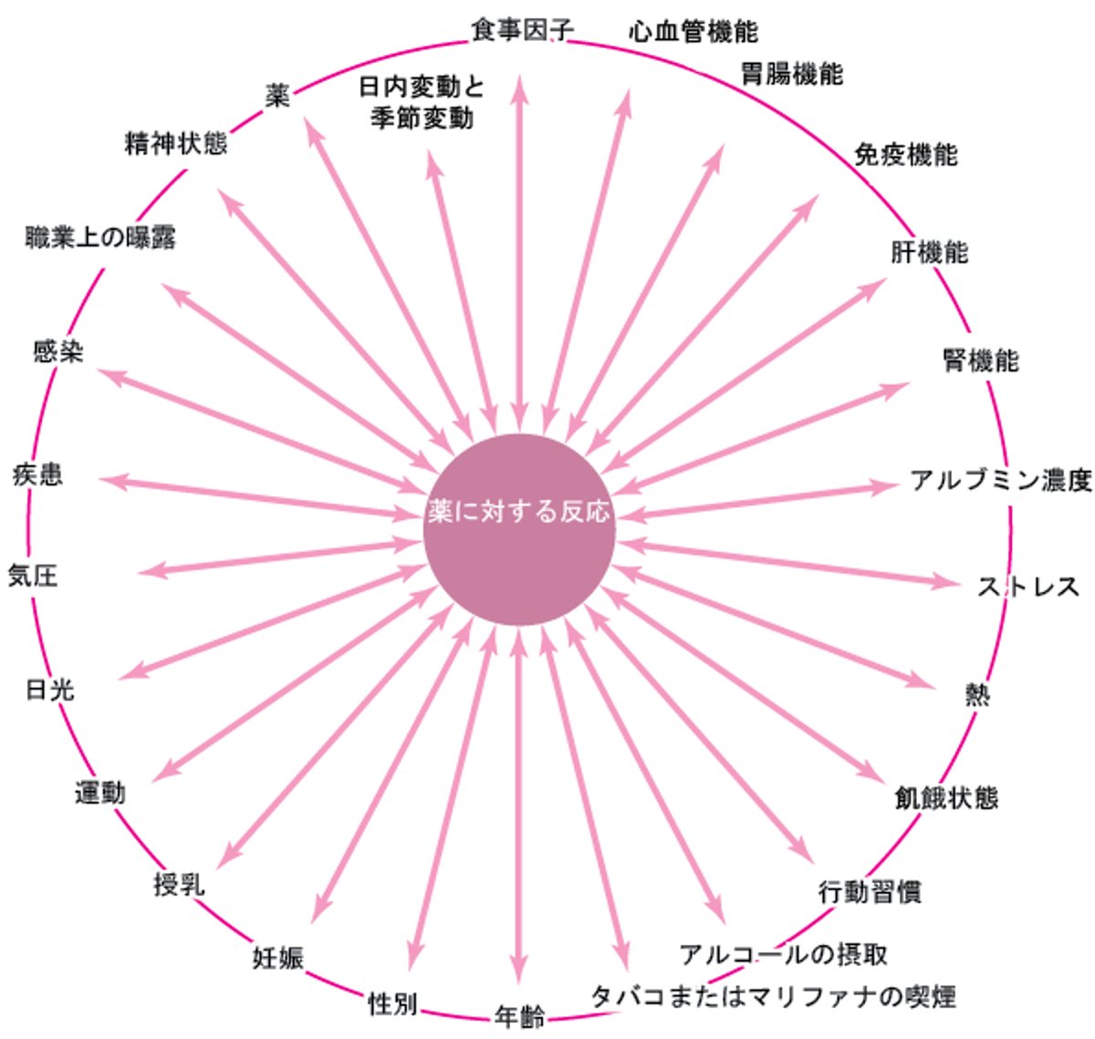 薬に対する反応に影響する様々な因子