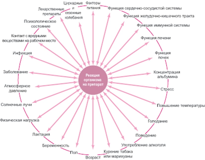 Ответ организма на воздействие лекарственного препарата зависит от многих факторов