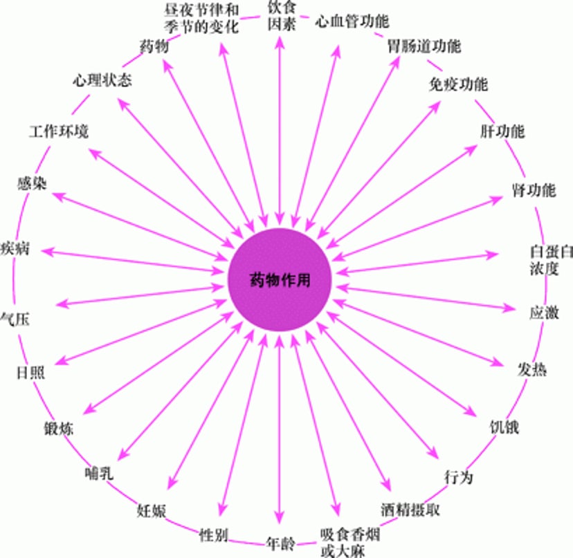 影响药物作用的因素很多