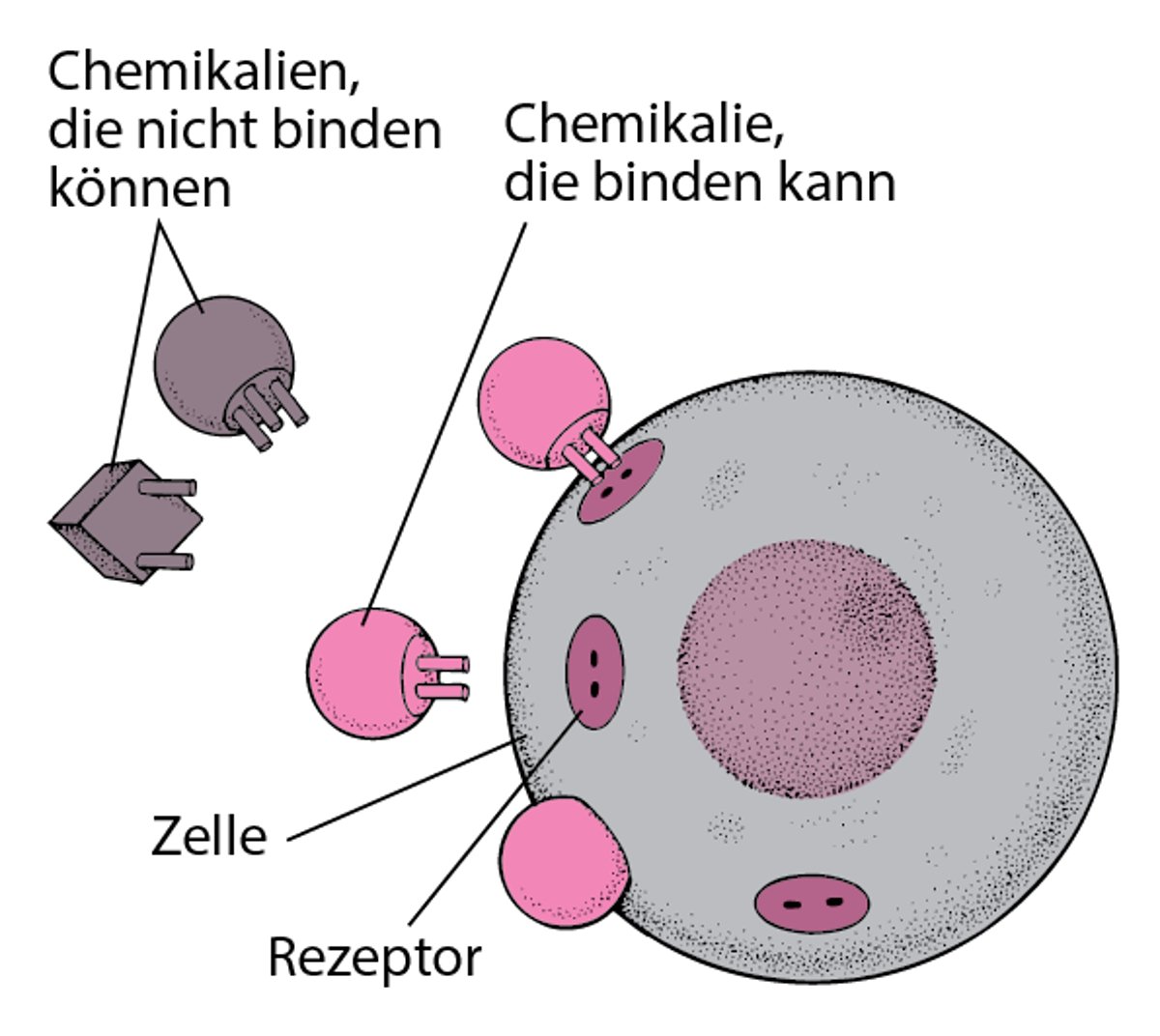 Perfekte Passform