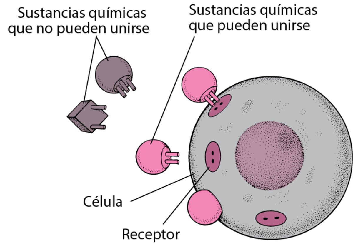 Unión perfecta