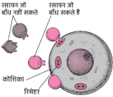 बिल्कुल उपयुक्त
