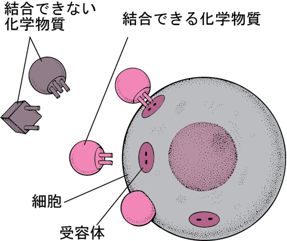 ぴったりと適合する関係