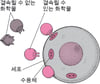 완벽하게 맞음