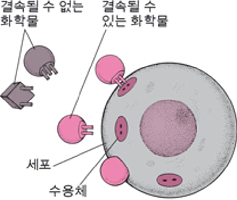 완벽하게 맞음