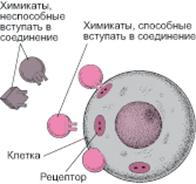 Идеальная совместимость