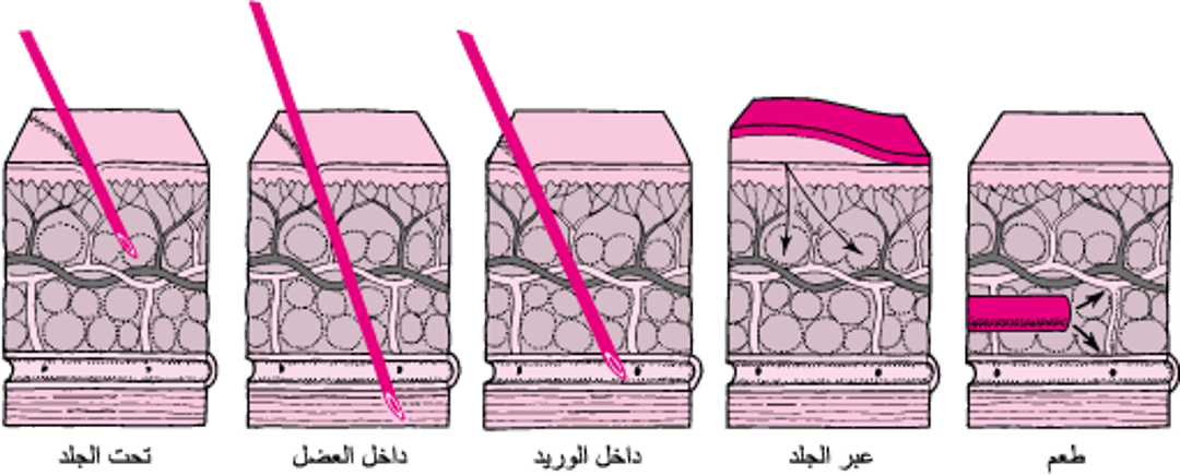 من خِلال الجلد