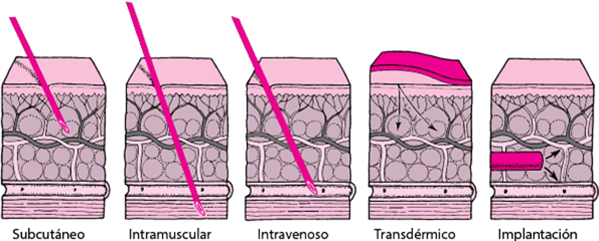 A través de la piel