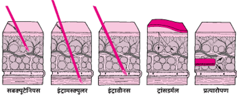 त्वचा के माध्यम से