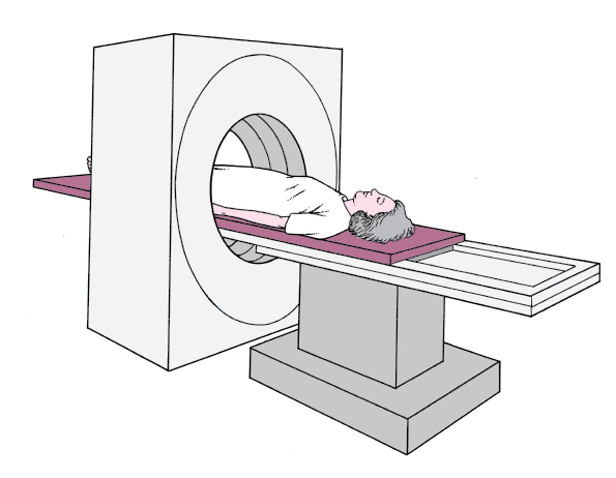 Visualisation de l’intérieur : Tomodensitométrie