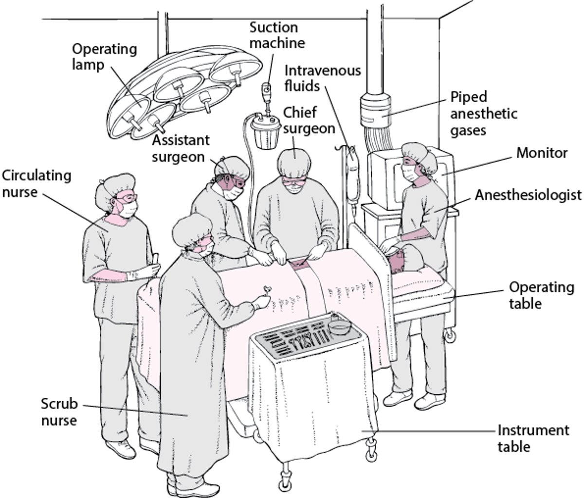 In the Operating Room