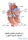 رأب الصمام بالبالون لعلاج تضيق الأبهر