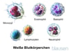Weiße Blutkörperchen