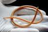 Ascaris lumbricoides