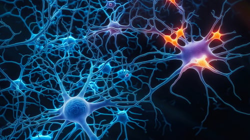 Esclerosis lateral amiotrófica (ELA) y otras enfermedades de la neurona motora (ENM)