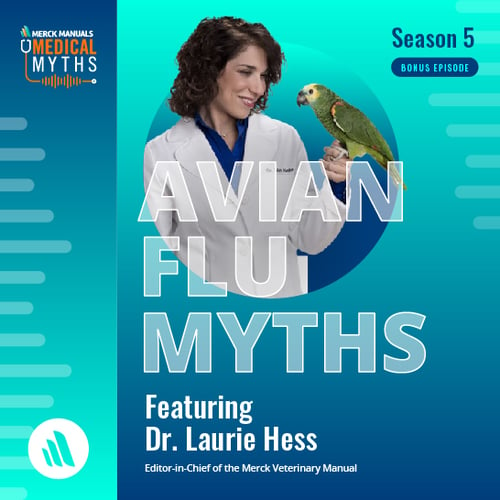 Podcast: Avian Flu Myths with Dr. Laurie Hess