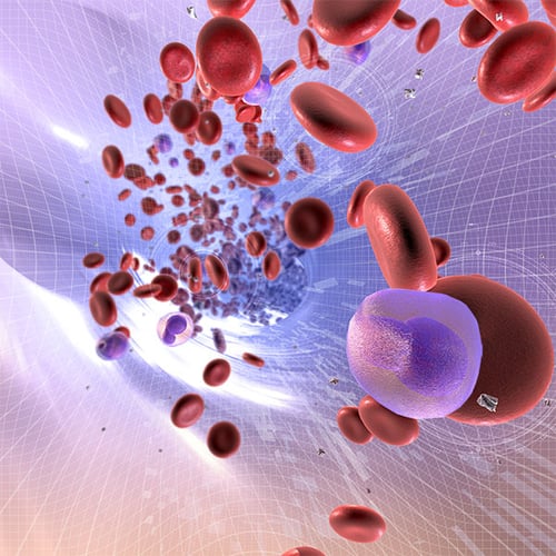 Hematology and Oncology Hematology and Oncology