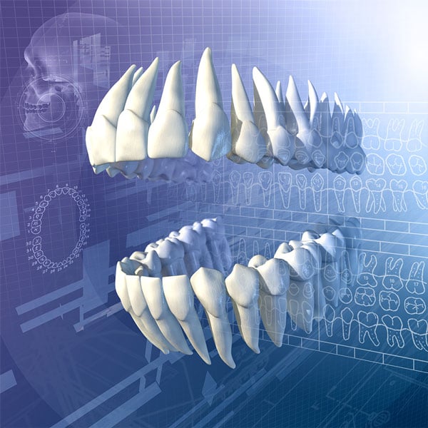 Dental Disorders Dental Disorders