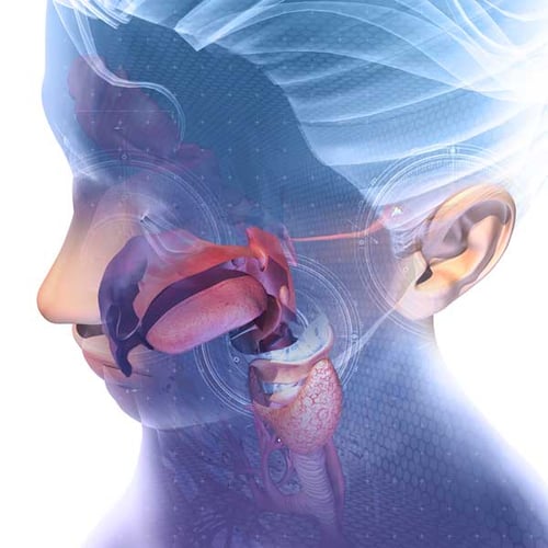 Ear, Nose, and Throat Disorders Ear, Nose, and Throat Disorders