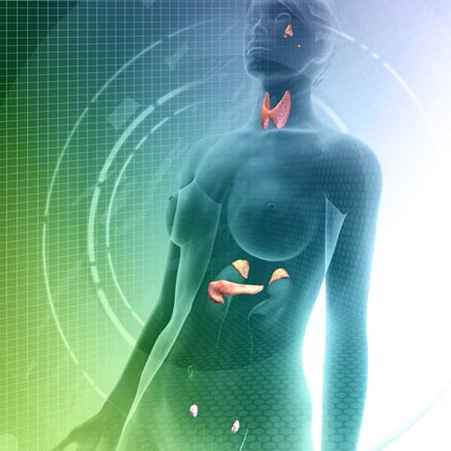 Endocrine and Metabolic Disorders Endocrine and Metabolic Disorders