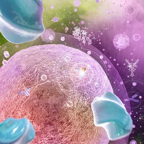 Immunology; Allergic Disorders Immunology; Allergic Disorders