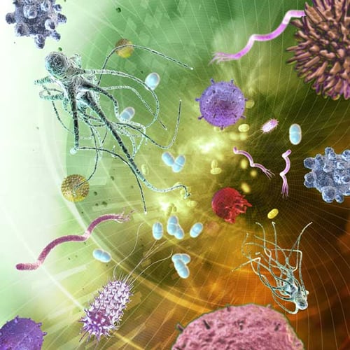 Infectious Diseases Infectious Diseases