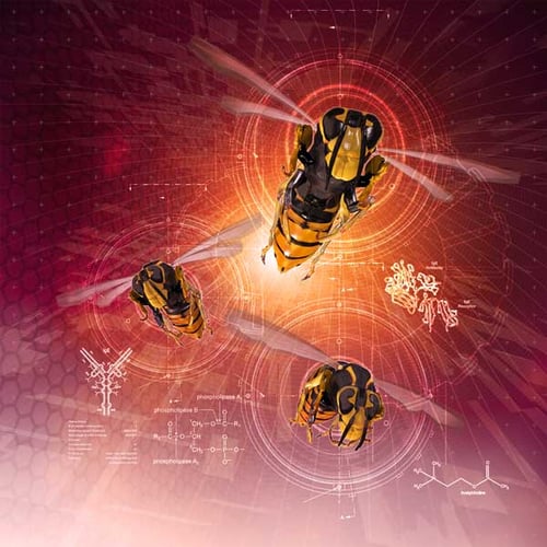 Injuries; Poisoning Injuries; Poisoning