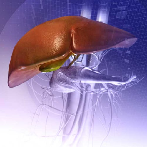 Hepatic and Biliary Disorders Hepatic and Biliary Disorders