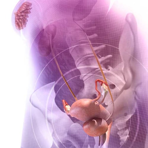 Gynecology and Obstetrics Gynecology and Obstetrics