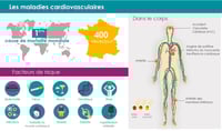 LES MALADIES CARDIOVASCULAIRES