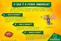 Febre Amarela