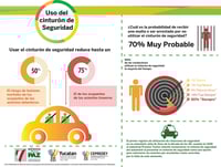 Uso del Cinturón de Seguridad