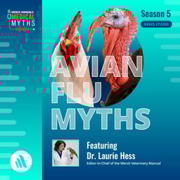 PODCAST Avian Flu with Dr Laurie Hess