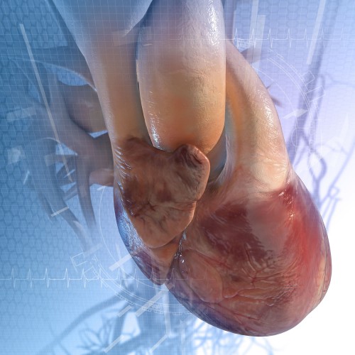 Troubles cardiovasculaires Troubles cardiovasculaires