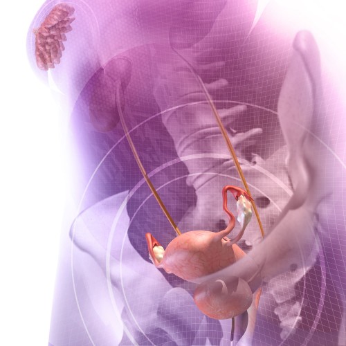 Gynécologie et obstétrique Gynécologie et obstétrique